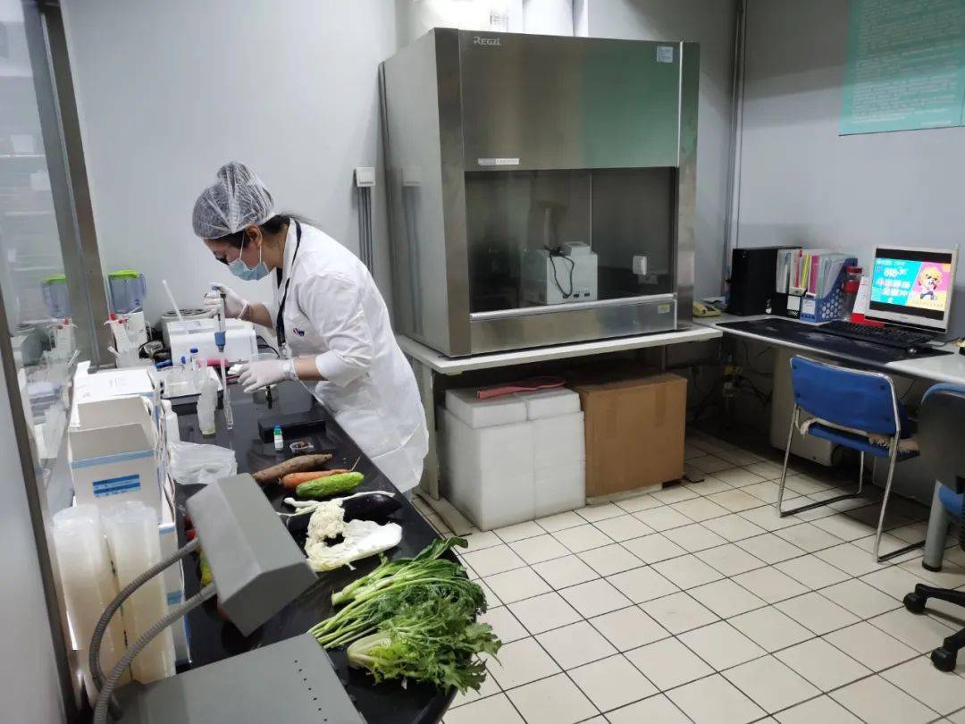 蕉岭食品检测实验室装修方案